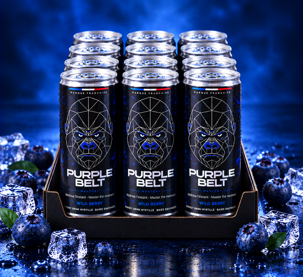 Pack 12 canettes WILD BERRY PURPLE BELT 250 ml