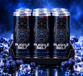 Pack découverte WILD BERRY 6 canettes PURPLE BELT 250 ml