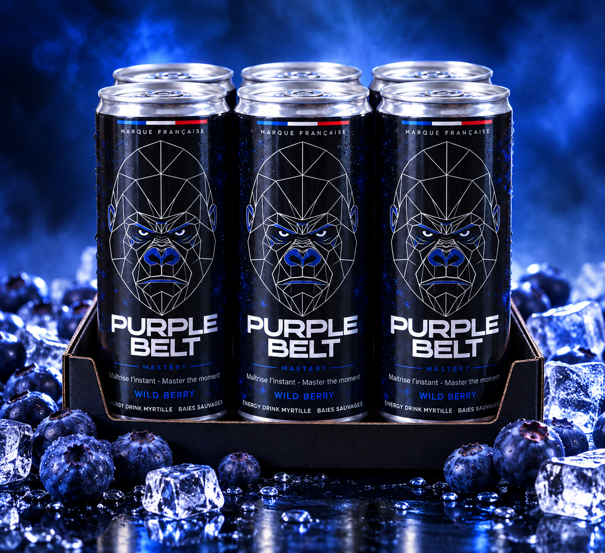Pack découverte WILD BERRY 6 canettes PURPLE BELT 250 ml