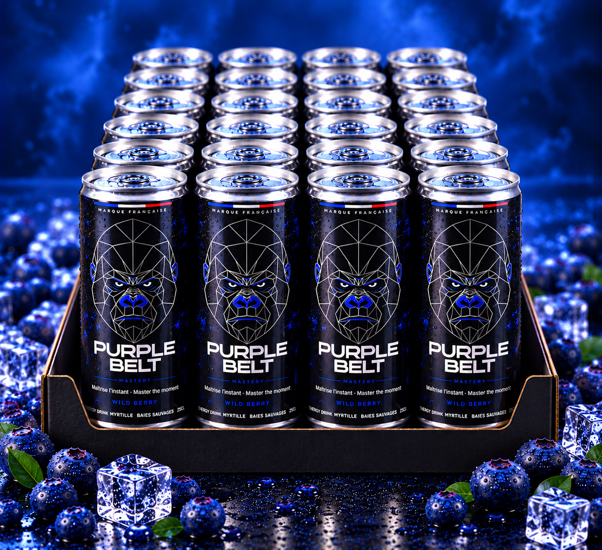 Pack Mastery 24 canettes Wild Berry PURPLE BELT 250 ml